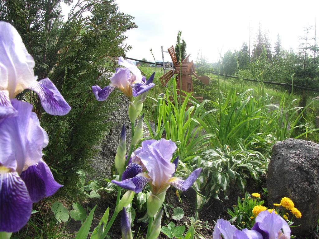 Willa Posrednia Zakopane Exterior photo