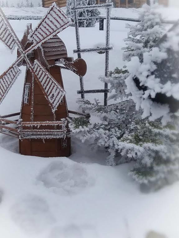 Willa Posrednia Zakopane Exterior photo